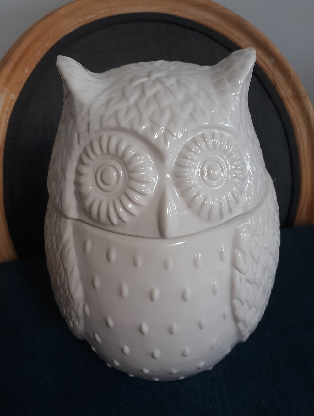 Mint WEST ELM Autumn owl Cookie Jar Farmhouse